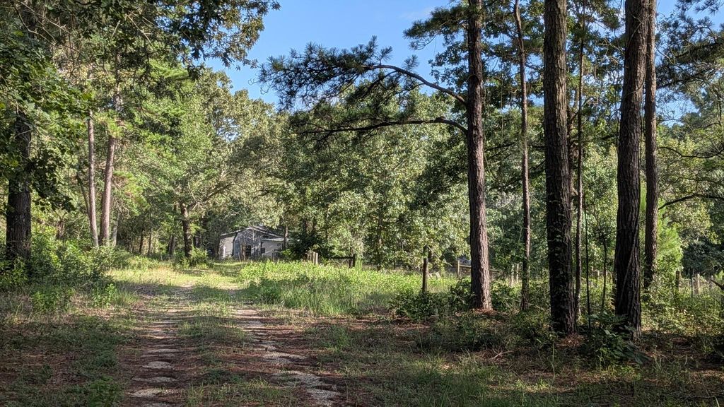 3948 Dogwood Trail, Navasota, TX 77868