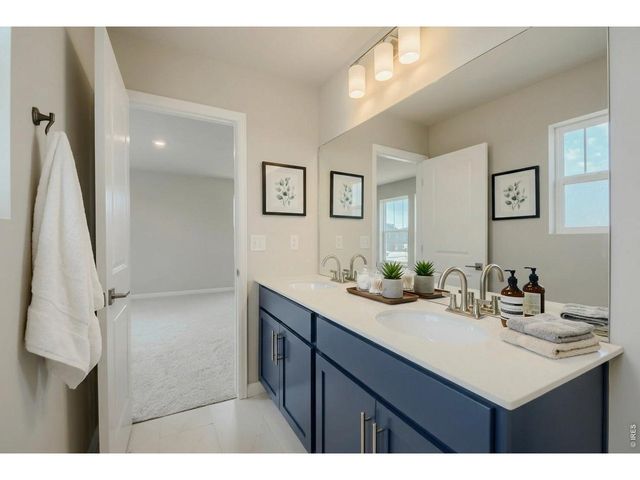 927 Nettle Ln, Fort Collins, CO 80524