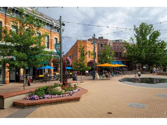 927 Nettle Ln, Fort Collins, CO 80524