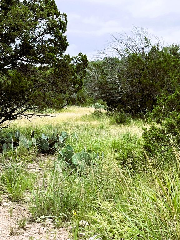 Image 2 of property listing at 78 Mertz Canyon S/d Tract #78, Ozona, TX 76943