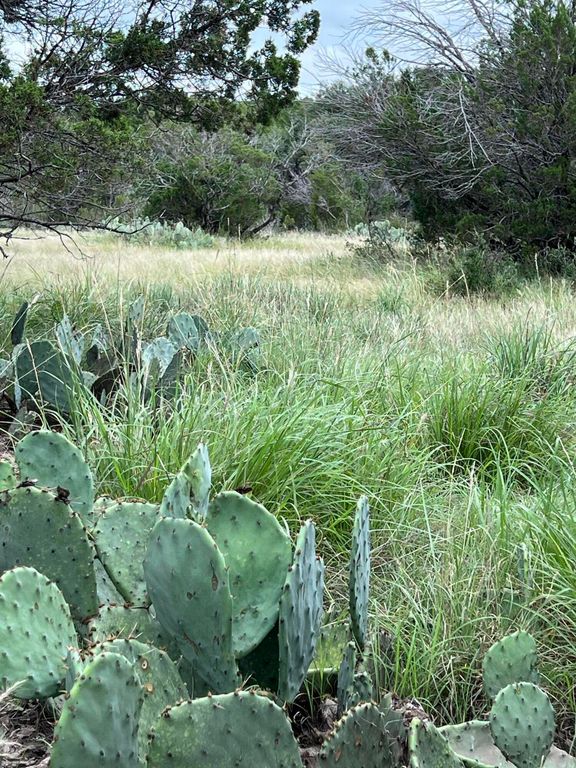 Image 4 of property listing at 78 Mertz Canyon S/d Tract #78, Ozona, TX 76943