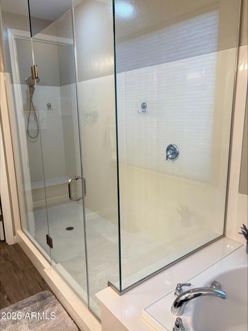 13714 W SARANO Terrace, Litchfield Park, AZ 85340