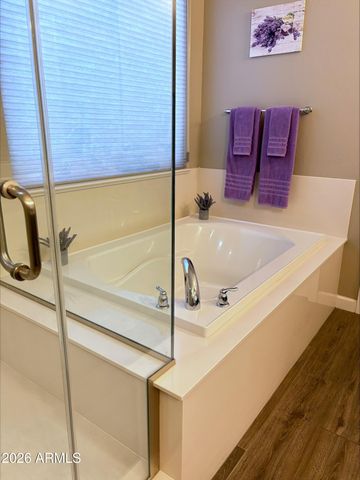 13714 W SARANO Terrace, Litchfield Park, AZ 85340