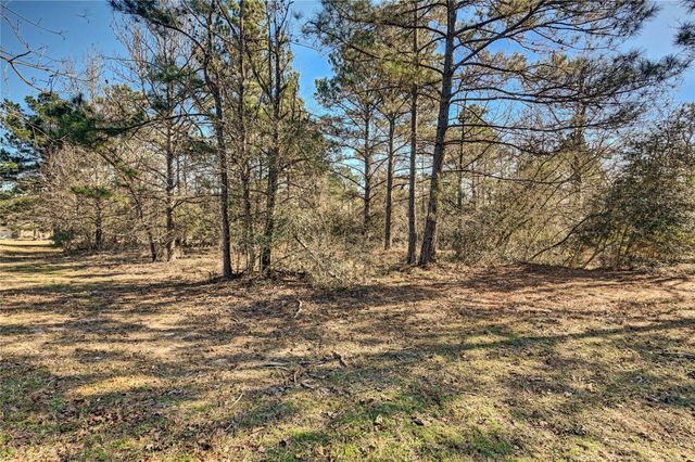 405 Arbor Way Court, Montgomery, TX 77316