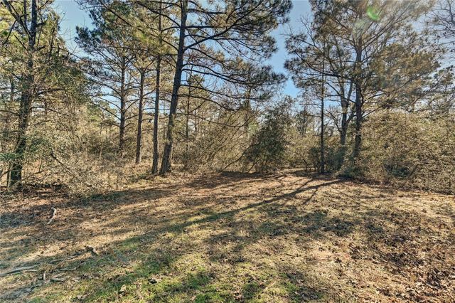 405 Arbor Way Court, Montgomery, TX 77316