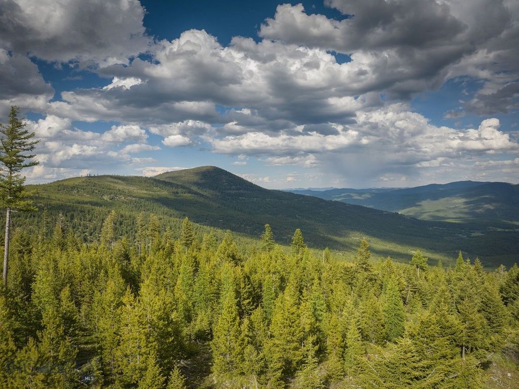 NHN Haskill Mountain Ranch Road, Kila, MT 59920