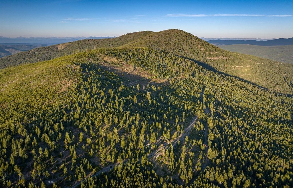 NHN Haskill Mountain Ranch Road, Kila, MT 59920 photo 13