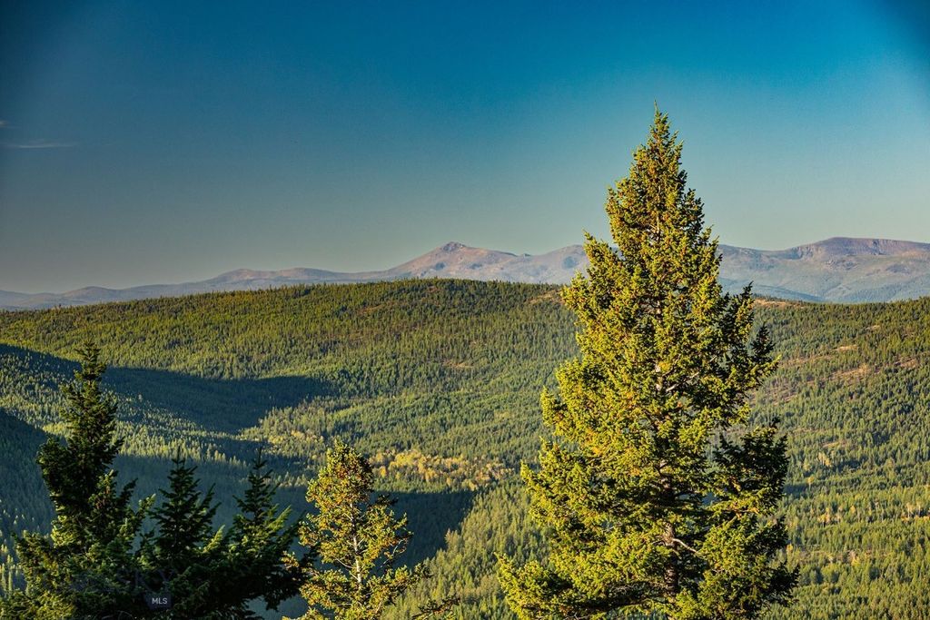 NHN Haskill Mountain Ranch Road, Kila, MT 59920 photo 14