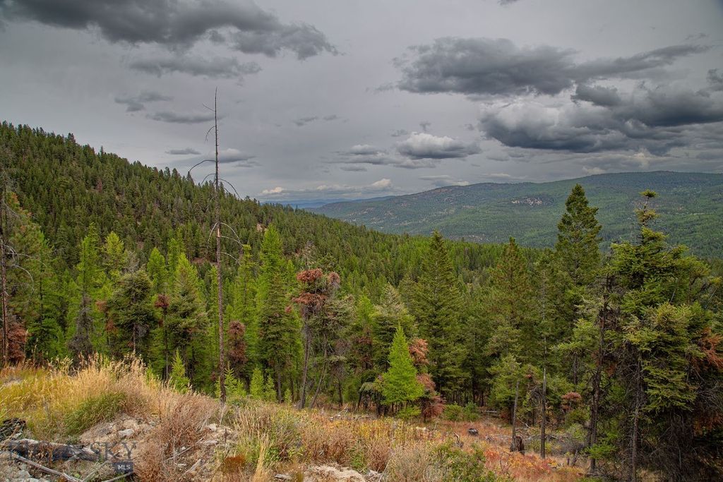 NHN Haskill Mountain Ranch Road, Kila, MT 59920 photo 21