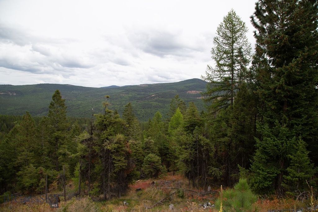 NHN Haskill Mountain Ranch Road, Kila, MT 59920 photo 23