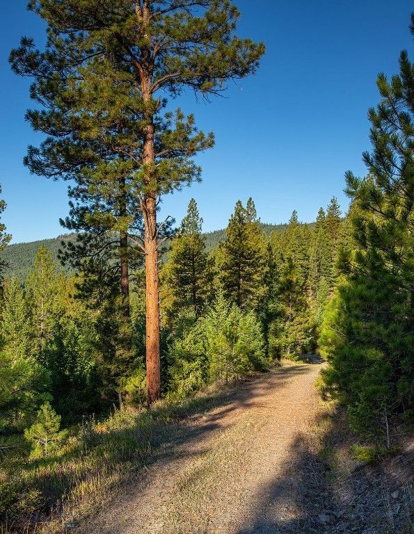 NHN Haskill Mountain Ranch Road, Kila, MT 59920 photo 25