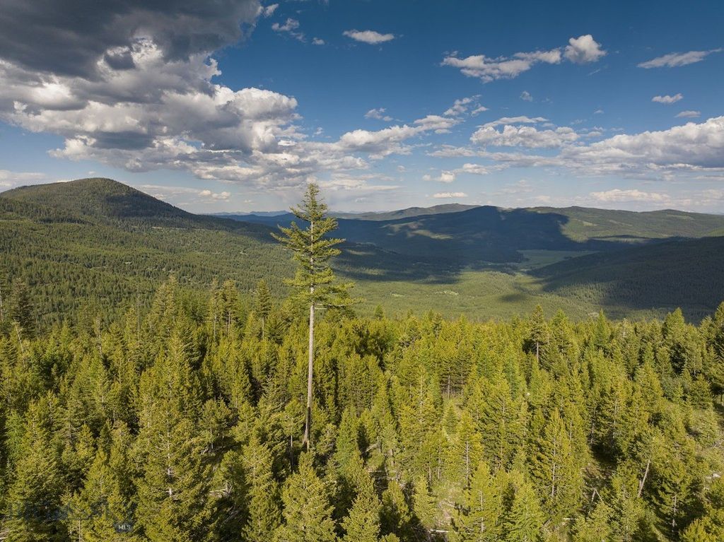 NHN Haskill Mountain Ranch Road, Kila, MT 59920 photo 28