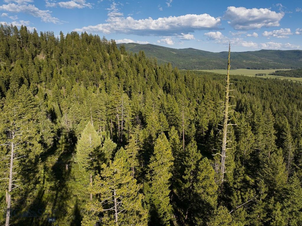 NHN Haskill Mountain Ranch Road, Kila, MT 59920 photo 29