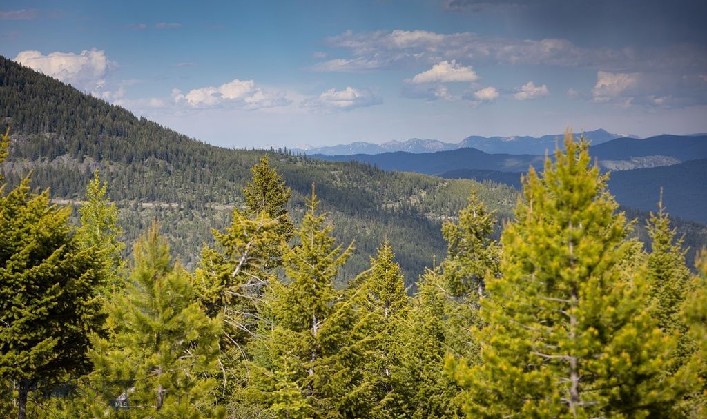 NHN Haskill Mountain Ranch Road, Kila, MT 59920 photo 3