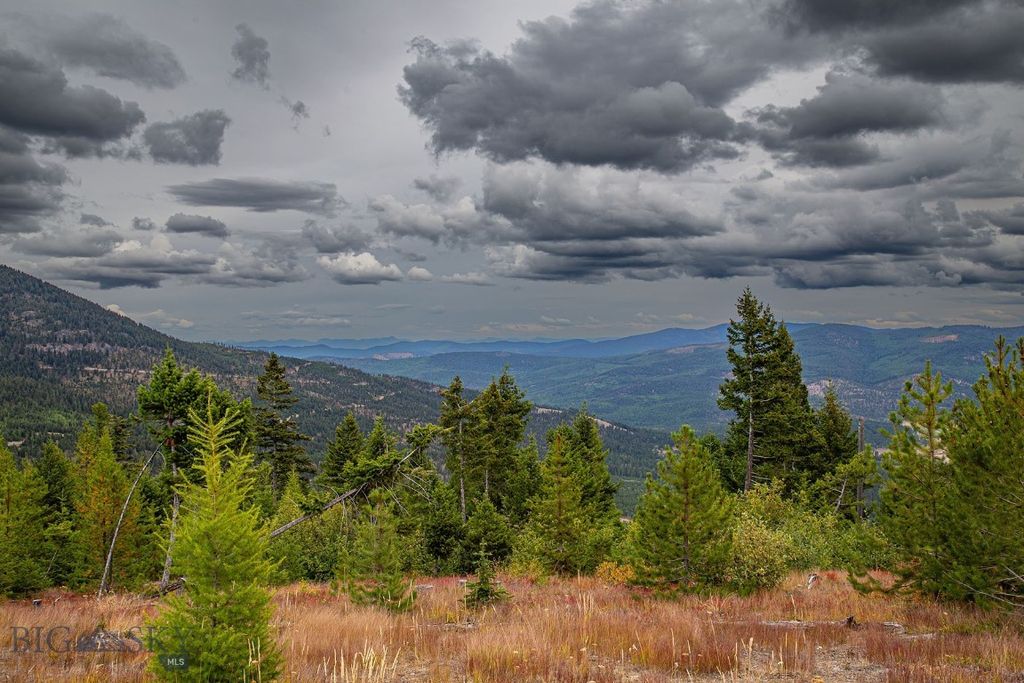 NHN Haskill Mountain Ranch Road, Kila, MT 59920 photo 31