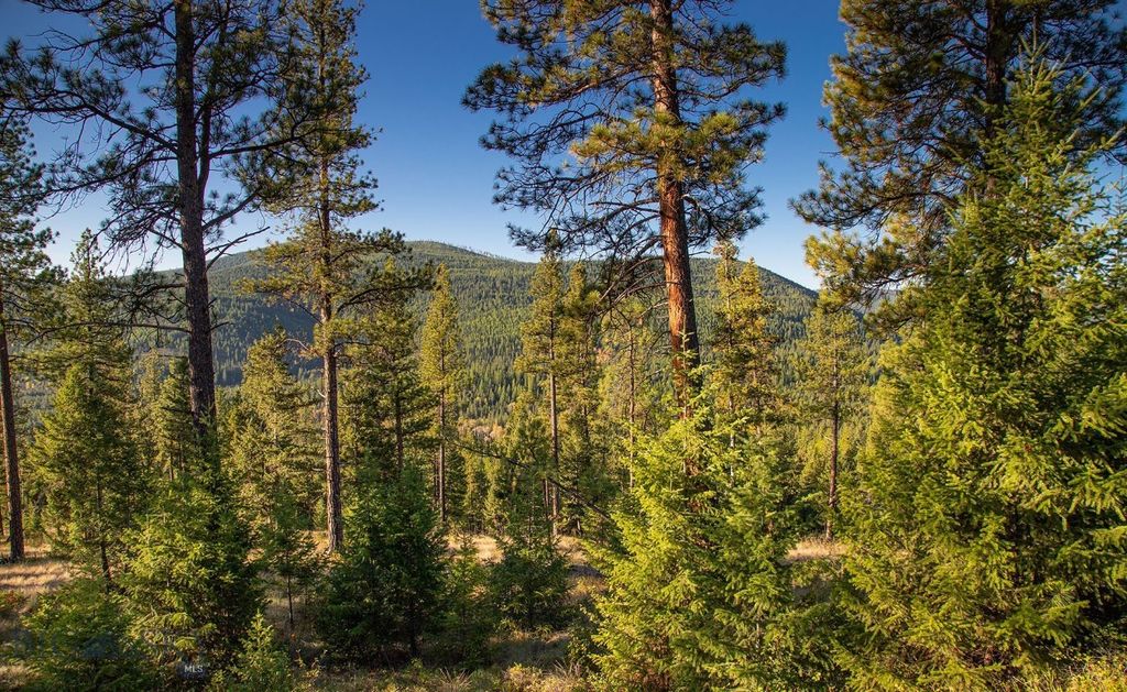 NHN Haskill Mountain Ranch Road, Kila, MT 59920 photo 38