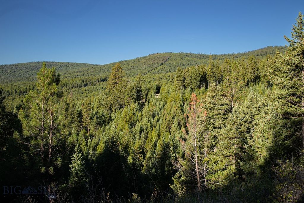 NHN Haskill Mountain Ranch Road, Kila, MT 59920 photo 39