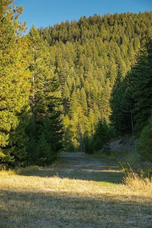 NHN Haskill Mountain Ranch Road, Kila, MT 59920 photo 42