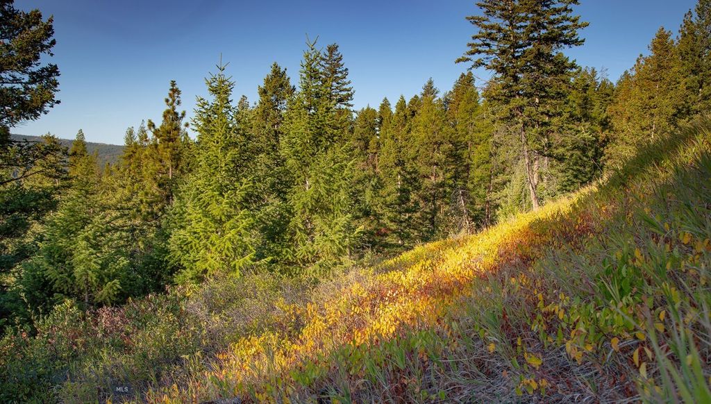 NHN Haskill Mountain Ranch Road, Kila, MT 59920 photo 43