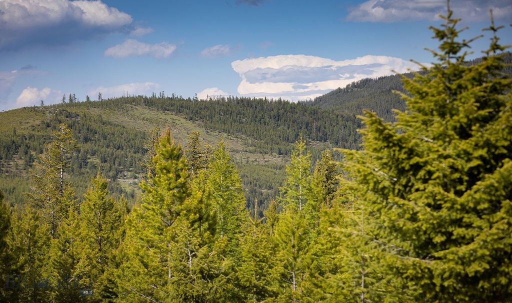 NHN Haskill Mountain Ranch Road, Kila, MT 59920 photo 44