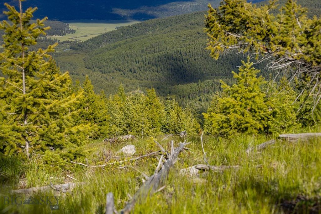 NHN Haskill Mountain Ranch Road, Kila, MT 59920 photo 46