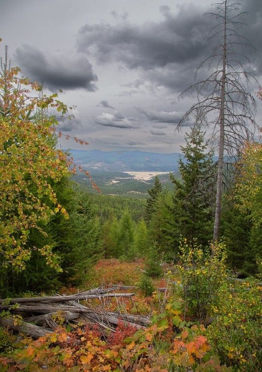 NHN Haskill Mountain Ranch Road, Kila, MT 59920 photo 6