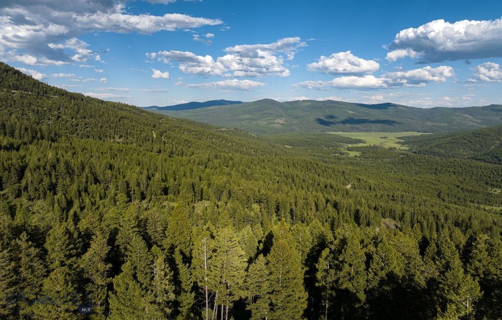 NHN Haskill Mountain Ranch Road, Kila, MT 59920 photo 8