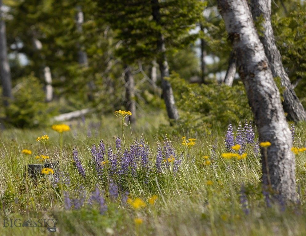 NHN Haskill Mountain Ranch Road, Kila, MT 59920 photo 9