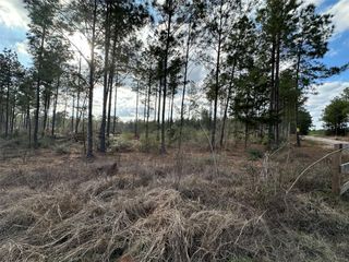 Tract 18 Richardson Road E, Livingston, TX 77351