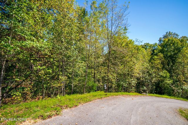 Alum Drive, New Tazewell, TN 37825