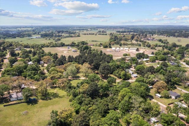 319 N Howard Street, Grapeland, TX 75844