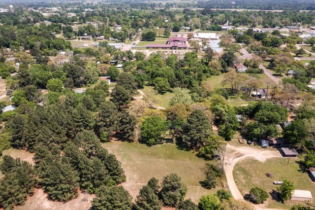 319 N Howard Street, Grapeland, TX 75844