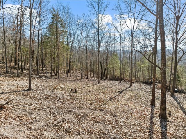 12254 Couch bottom Road, Harrison, AR 72601