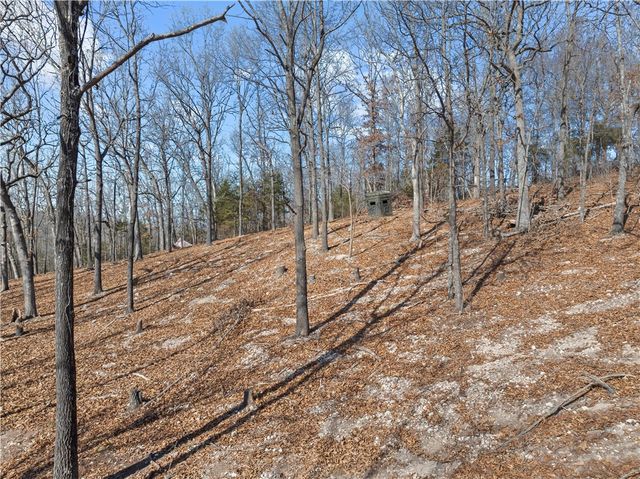 12254 Couch bottom Road, Harrison, AR 72601