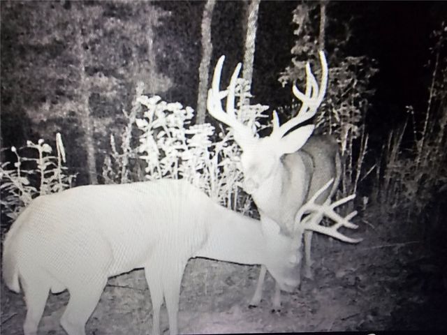 12254 Couch bottom Road, Harrison, AR 72601