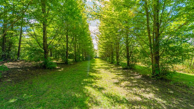 1340 E 2700 North Road, Ashkum, IL 60911