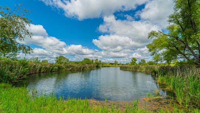 1340 E 2700 North Road, Ashkum, IL 60911