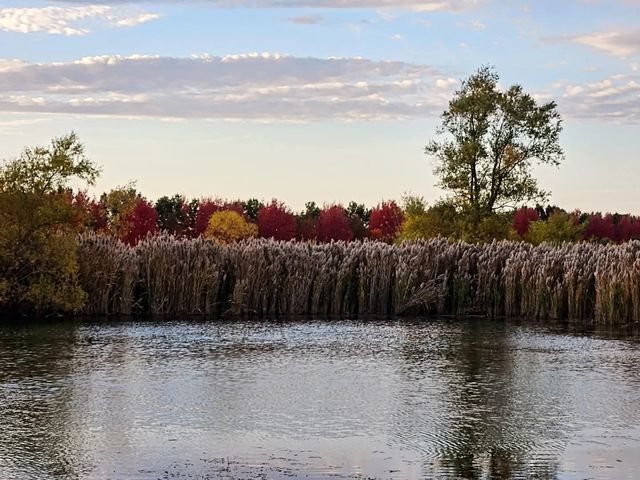 1340 E 2700 North Road, Ashkum, IL 60911