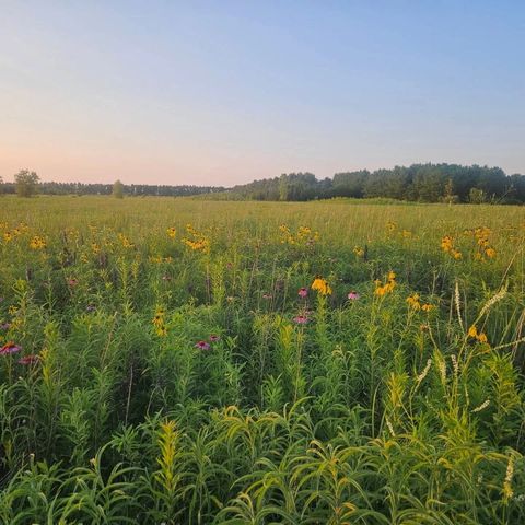 1340 E 2700 North Road, Ashkum, IL 60911