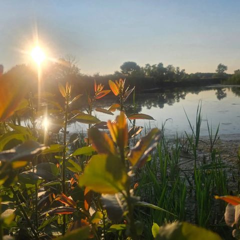 1340 E 2700 North Road, Ashkum, IL 60911