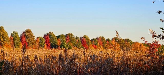 1340 E 2700 North Road, Ashkum, IL 60911