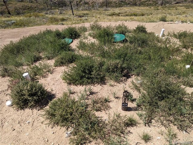 7714 Hallstein Road, Fort Garland, CO 81133