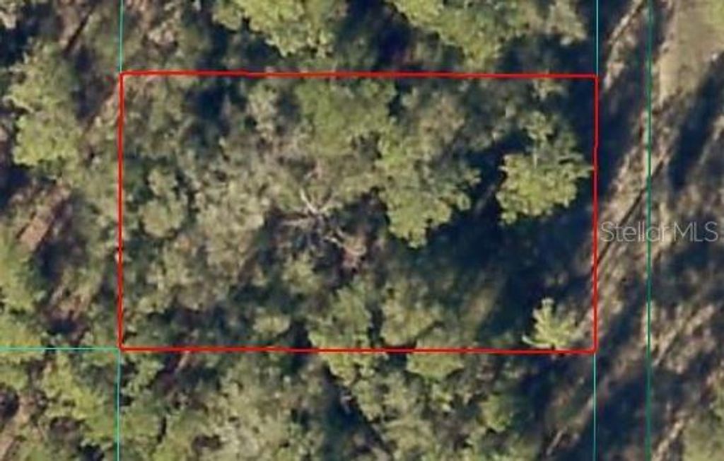 SW 154 TERRACE, Ocala, FL 34481