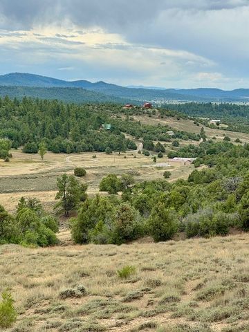 Unit 5 Tract 1 Private Drive 1783, Chama, NM 87520