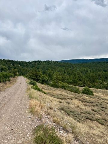 Unit 5 Tract 1 Private Drive 1783, Chama, NM 87520