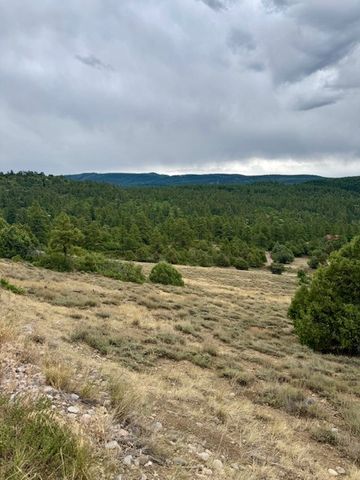 Unit 5 Tract 1 Private Drive 1783, Chama, NM 87520