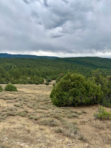 Unit 5 Tract 1 Private Drive 1783, Chama, NM 87520