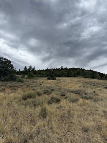 Unit 5 Tract 1 Private Drive 1783, Chama, NM 87520