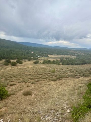 Unit 5 Tract 1 Private Drive 1783, Chama, NM 87520