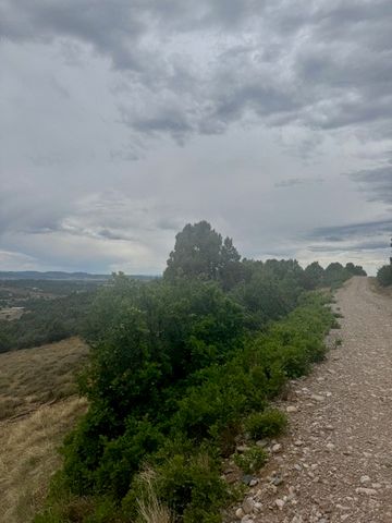 Unit 5 Tract 1 Private Drive 1783, Chama, NM 87520